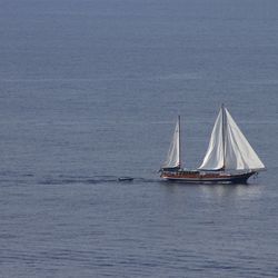 Sailboat sailing on sea