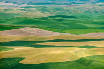 High angle view of grassy field