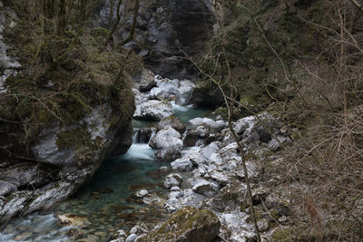 Scenic view of waterfall in forest