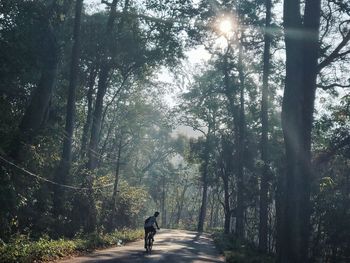 Man walking on road amidst trees in forest
