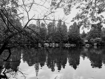 Reflection of trees in lake against sky