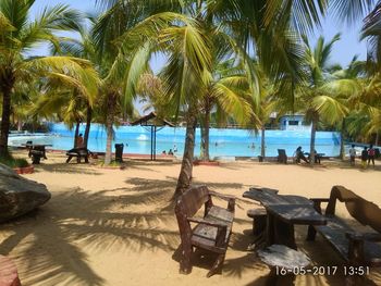 Palm trees on beach