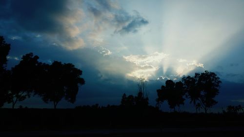 Silhouette of trees against cloudy sky