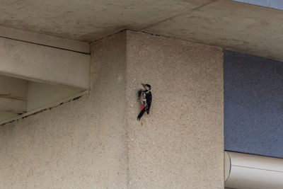 High angle view of woman walking in building