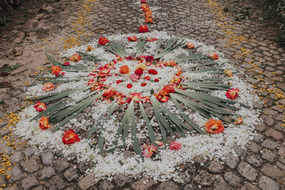 High angle view of flowers and leaves on footpath