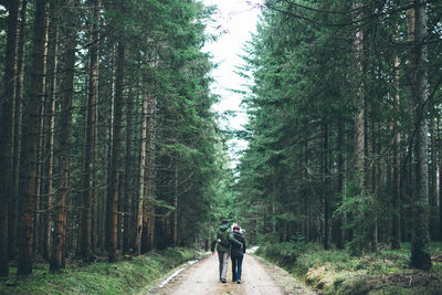 Rear view of couple walking on road amidst trees in forest