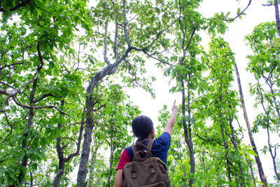 Low angle view of girl pointing at tree
