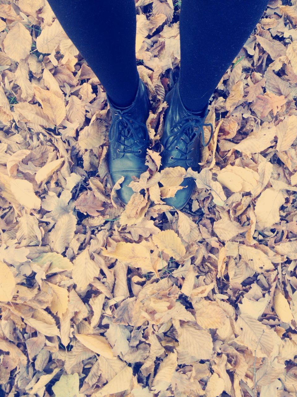 low section, person, high angle view, shoe, stone - object, outdoors, day, blue, part of, dry, textured, autumn, nature, rock - object, unrecognizable person, human foot, footwear