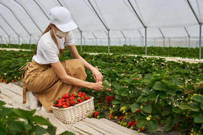 Midsection of woman holding basket in greenhouse