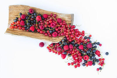 High angle view of berries against white background