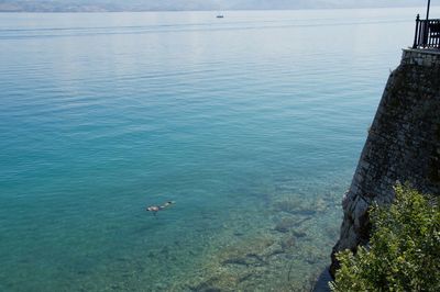 High angle view of ducks swimming in sea