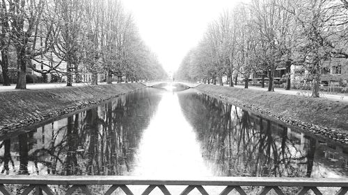 View of canal along trees