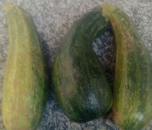 Close-up of vegetables