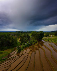 Road amidst field against sky