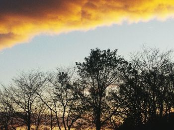 Low angle view of silhouette trees against sky