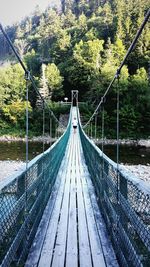 Footbridge in forest