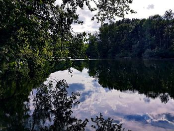 Reflection of trees in lake against sky