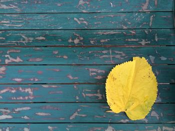 Close-up of autumn leaf on wooden surface