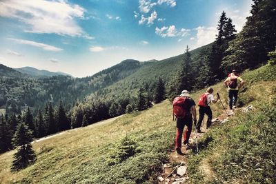 People walking on mountain road in forest