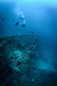 People diving in sea