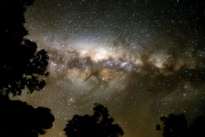 Low angle view of silhouette trees against sky at night