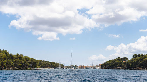 Sailboats sailing on sea against sky