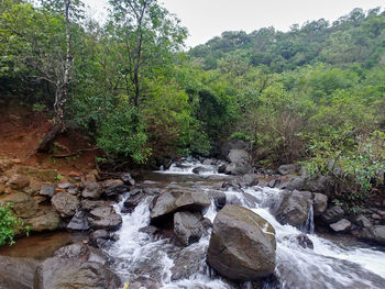 Stream flowing through rocks in forest