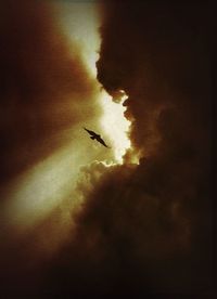Low angle view of birds flying against clear sky
