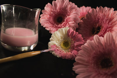 Close-up of pink roses on table against black background