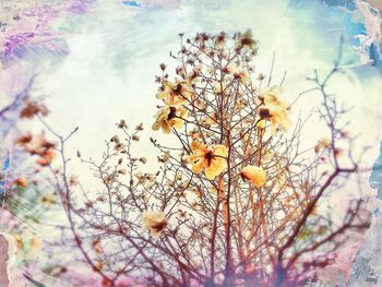 Low angle view of tree against sky