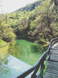 Scenic view of lake in forest