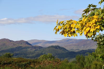 Scenic view of green mountains against sky