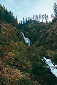 Scenic view of waterfall in forest