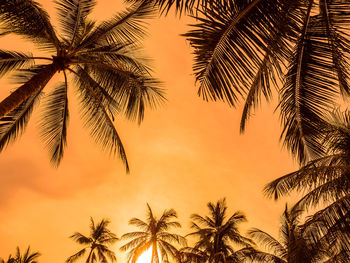 Low angle view of palm trees against sky during sunset