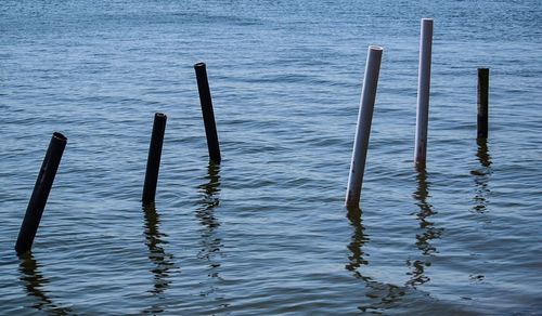 View of wooden posts in water