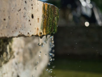 Close-up of water drop falling from pipe