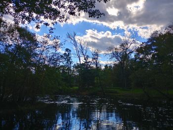 Scenic view of lake in forest against sky