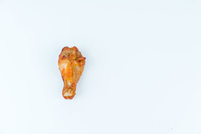 Close-up of lizard on white background