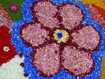 Full frame shot of colorful wall