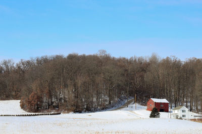 Trees on field against clear sky during winter