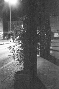 View of street in city at night