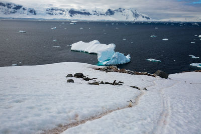 View of ice floating on sea