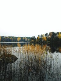 Scenic view of lake against clear sky