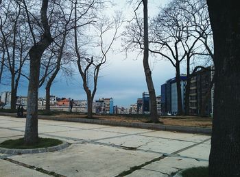Bare trees in town against sky