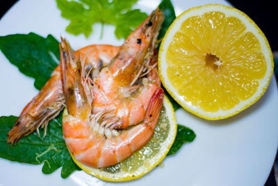 Close-up of fruits in plate