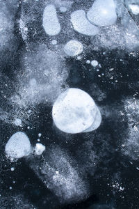 High angle view of snow covered leaf