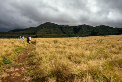 Rear view of man walking on field against sky
