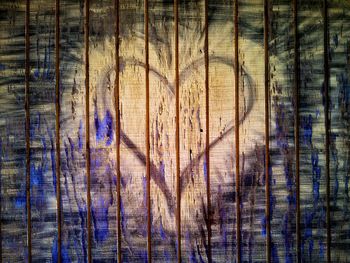 Full frame shot of tree trunk