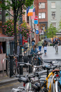 People riding bicycles on city street