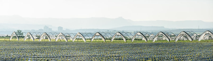 Scenic view of field against clear sky